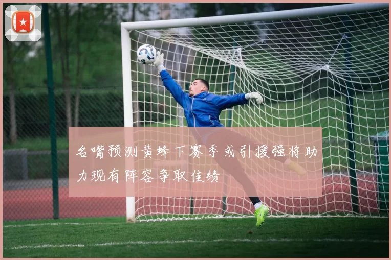 名嘴预测黄蜂下赛季或引援强将助力现有阵容争取佳绩