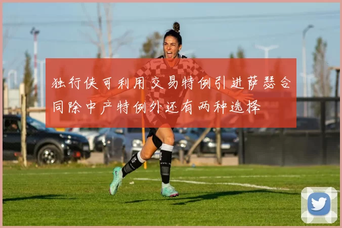 独行侠可利用交易特例引进萨瑟合同除中产特例外还有两种选择